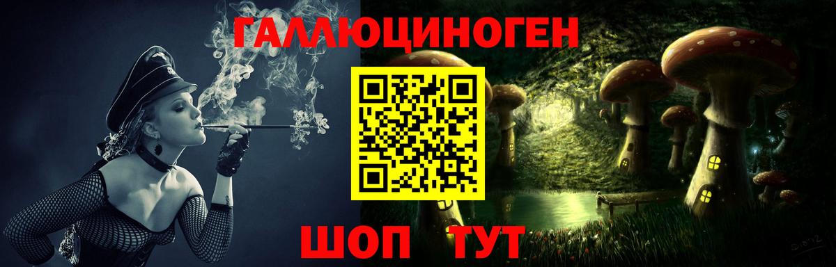 купить наркотик  Псилоцибиновые грибы Cubensis  Северобайкальск  Вход с VPN  Галлюциногенные грибы мухоморы 